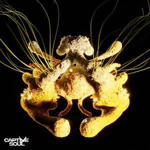 中文字幕一区三区久久女搜查官
