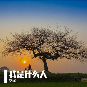 中文字幕一区三区久久女搜查官
